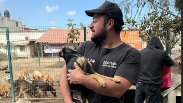 La gente adopta por apariencia, dice Alán, de Dog Ayuda